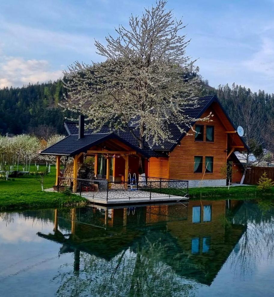 Moonlake Chalet Gainesti Exterior photo