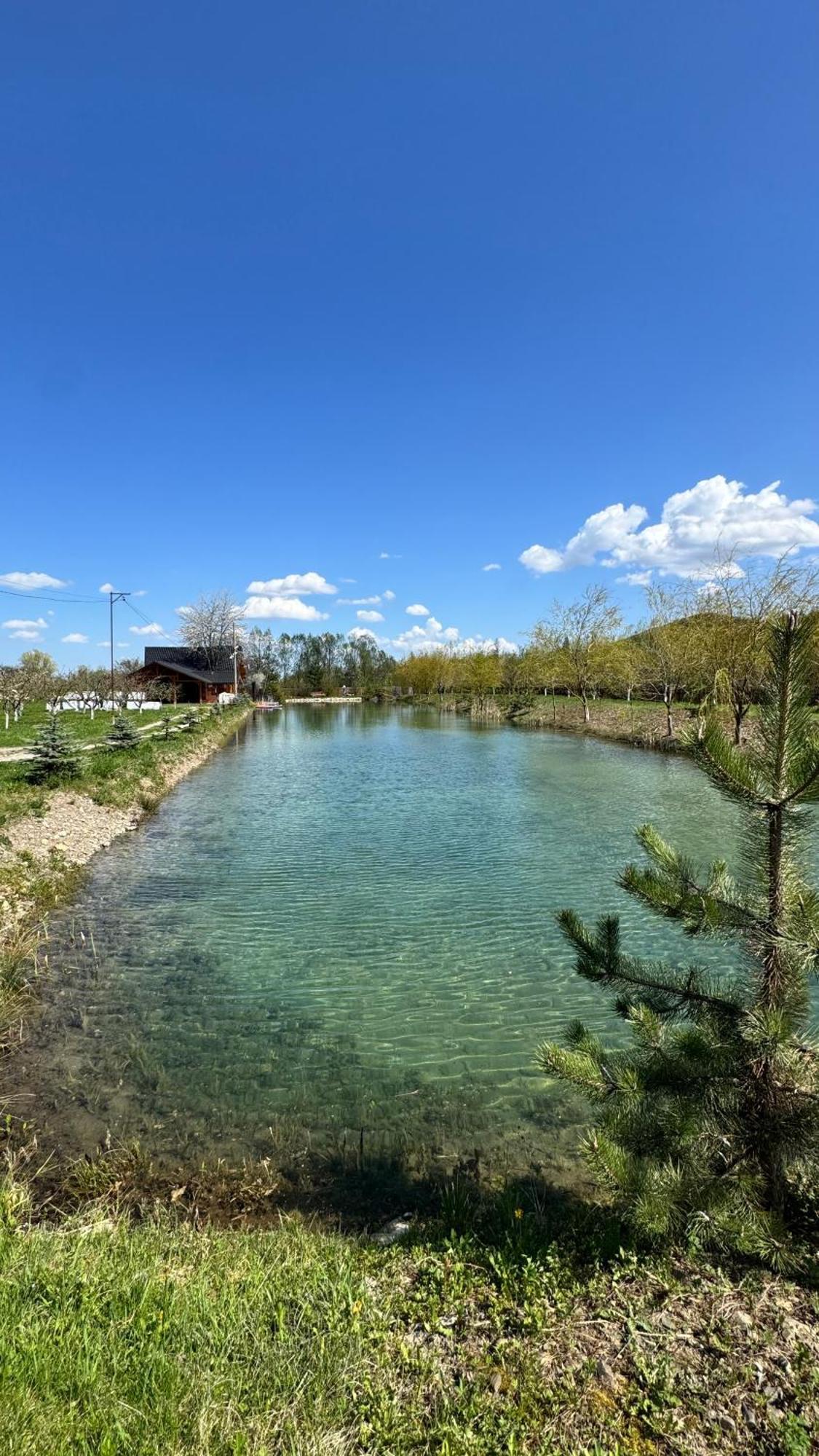Moonlake Chalet Gainesti Exterior photo